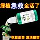 Plant and flower resurrection solution for plant and flower resurrection solution for yellowing and leaves falling.