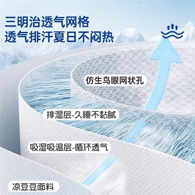 
Class A maternal and infant grade Bingdoudou 2025 new ice silk mat student dormitory single 90x190 machine washable mat