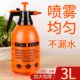 3L large watering can water gardening and flower sterilization sprayer air pressure car wash sprayer green plant sprinkler