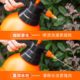 3L large watering can water gardening and flower sterilization sprayer air pressure car wash sprayer green plant sprinkler
