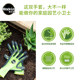 Meileke Gardening Gloves Flower Art Planting Flower Weeding Anti-thorn Anti-slip Anti-wear Resistant Waterproof Anti-cut Rose Sweat-absorbing and Breathable