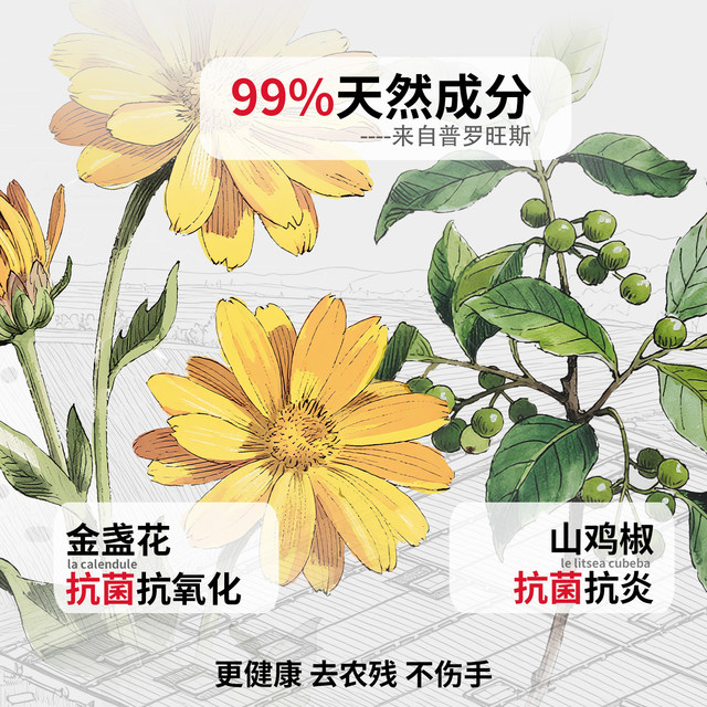 French imported gravel laboratory natural dishwashing liquid without hurting hands fruit and vegetable cleaner mother and baby food grade A