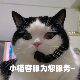 Dawei Pet Nutrition Paste 120g Cat Improve Immunity Cat Ant Paste Special Nutritional Supplement for Cats