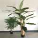 
Factory simulation potted banyan tree, artificial tree, small tree, green plant, landscape gardening, wedding, B&B, home decoration ornaments