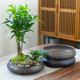 Retro creative ceramic flowerpot ornaments large round potted home gardening breathable succulent flowerpot base