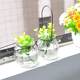 Hanging transparent glass vase small pumpkin hanging bottle simple hydroponic flower appliance indoor gardening home decoration bottle