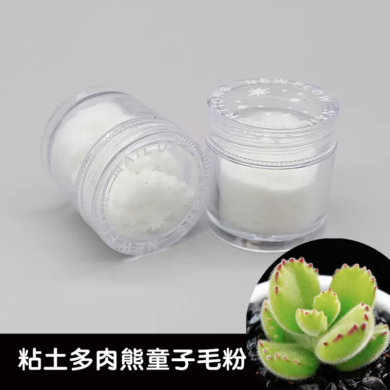 墨叔家軟陶超輕樹脂粘土多肉植物專用白色毛粉熊童子毛