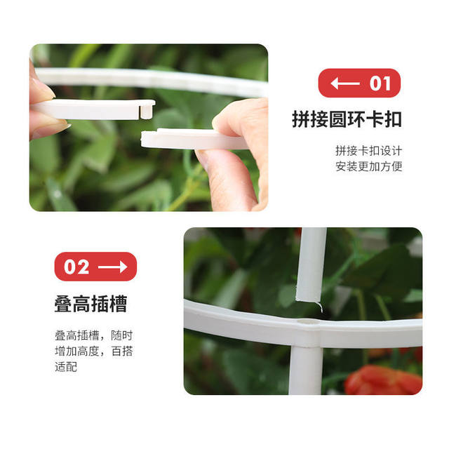 Climbing pergola outdoor balcony rose clematis column flower vine bracket gardening windmill jasmine shelf support rod