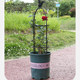 Climbing pergola outdoor balcony rose clematis column flower vine bracket gardening windmill jasmine shelf support rod