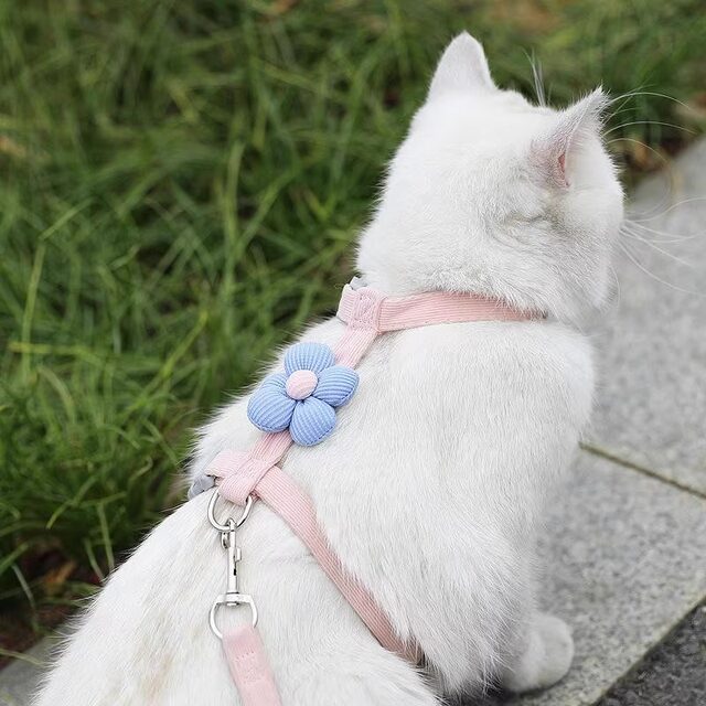 Cat traction rope small flower I-shaped walking rope adjustable to ...