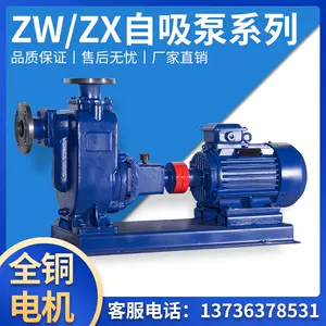 zx泵- Top 1000件zx泵- 2024年3月更新- Taobao