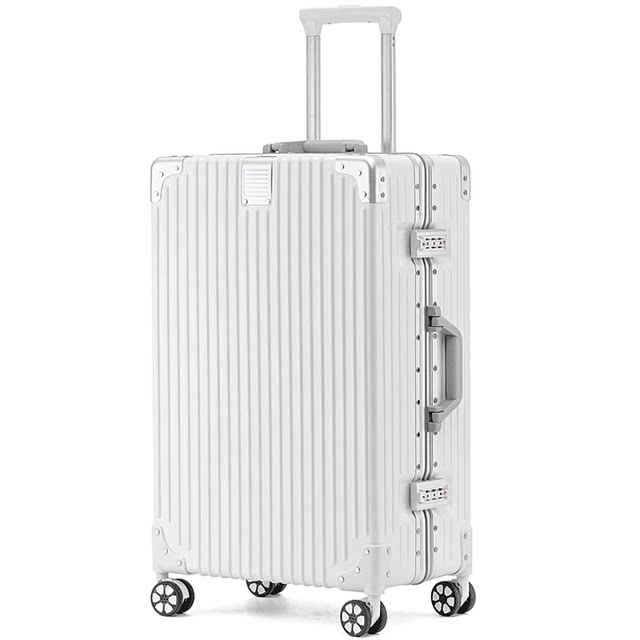 Playboy suitcase 2024 -inch new large -capacity boys password running box lever box female small leather box
