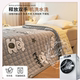 Milk velvet mattress cushion home winter plus velvet mattress mat blanket quilt quilt dormitory student single quilt