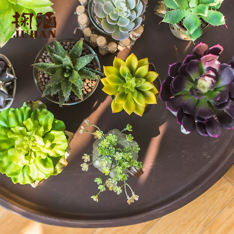 掬涵多肉植物八千代钱串千岁莲虫草仿真多肉植物绿植小