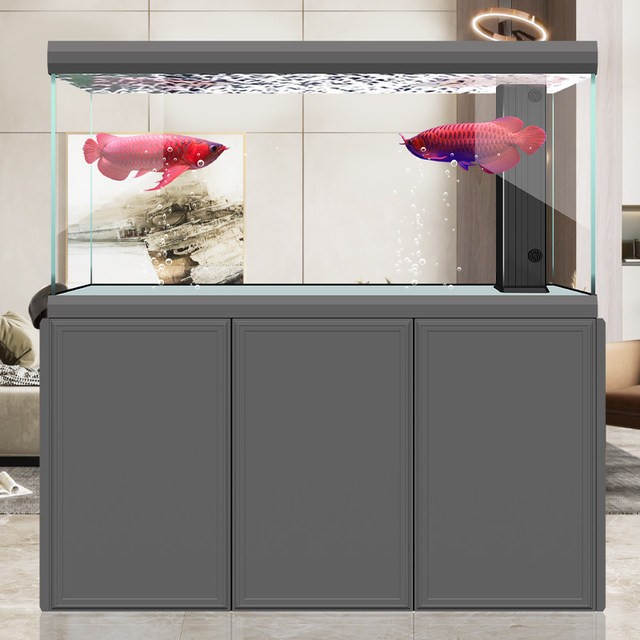 Fresh Look at Hanba Italian Light Luxury Ultra White Fish Tank High End