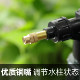 Living watering can watering flowers and household gardening sprayer pneumatic pressure sprinkler sterilization special pot watering spraying pot