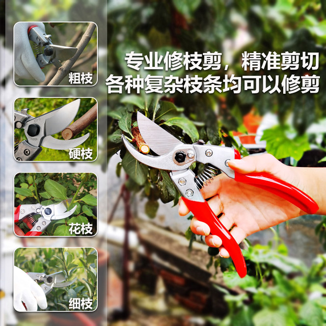 Original imported Japanese Alice VS-789XZ fruit tree flower pruning one-handed gardening tools pruning scissors