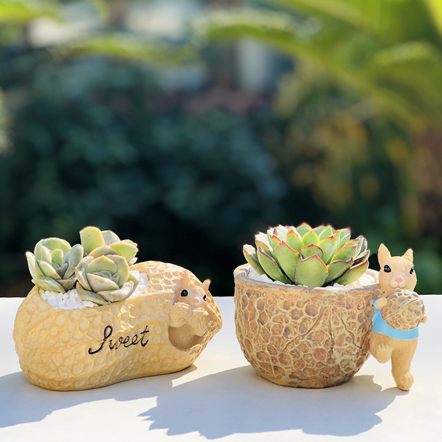 Creative home gardening desktop balcony potted cartoon nut garden resin succulent flowerpot graduation season gift