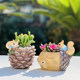 Creative home gardening desktop balcony potted cartoon nut garden resin succulent flowerpot graduation season gift