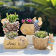 Creative home gardening desktop balcony potted cartoon nut garden resin succulent flowerpot graduation season gift