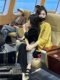 The counter withdraws women's clothing with high-end feel and super good looking old Qian style new Chinese style Tang style yellow satin jacquard jacket