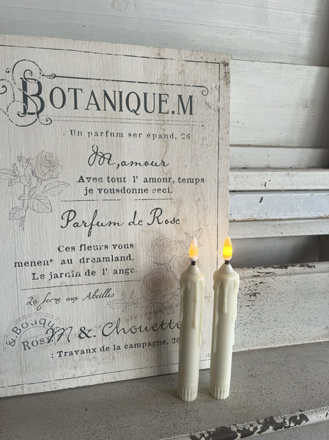 Fall in love with the garden Gardening Home Groceries Electronic Candles With Order