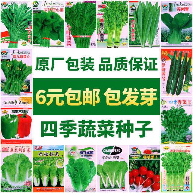 Four seasons vegetable seeds collection Home vegetable garden Green vegetables Radish cabbage summer and autumn heat-resistant fruits and vegetables seeds and so on