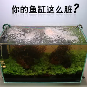 鱼缸清绿苔 新人首单立减十元 22年9月 淘宝海外