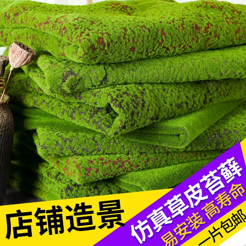 假鲜苔 新人首单立减十元 21年11月 淘宝海外