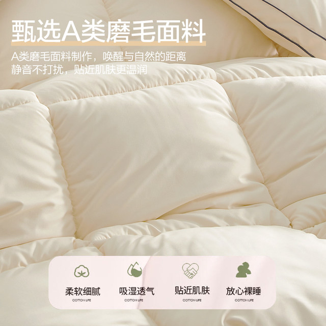 Soy fiber quilt winter quilt quilt core student dormitory thickened warm spring and autumn quilt air-conditioned quilt single winter day