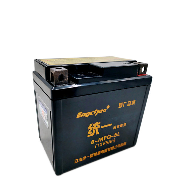 Shiyamaha motorcycle 12V5A battery YT5 Qiaoge iWH100 Joy Little Princess Battery Premier League Unified