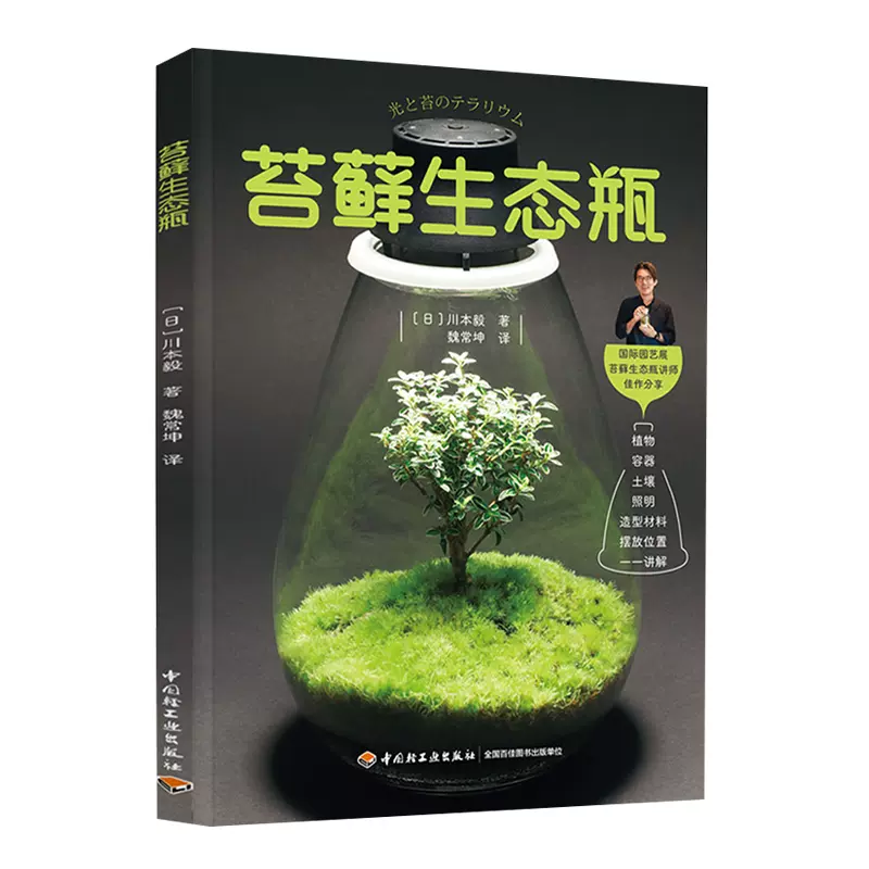 苔盆栽 新人首单立减十元 21年10月 淘宝海外