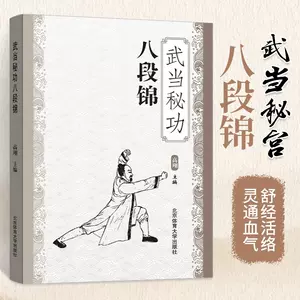 武当三封太極拳（武當三豐太極拳） 劉嗣傳著人民体育出版社中文洋書-