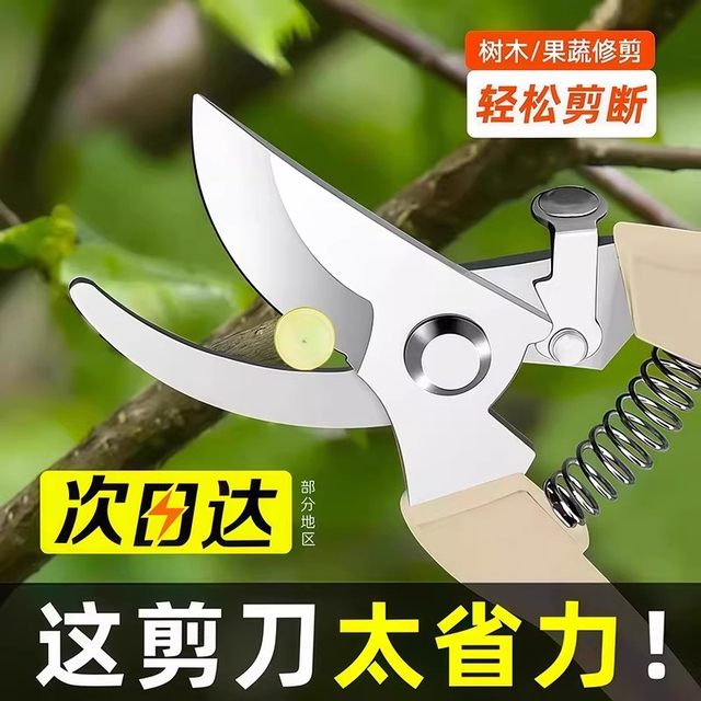 Gardening shears, pruning shears, flower shears, garden scissors, floral shears, branches, fruit tree scissors, branch shears, flower shears.