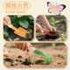 Washworth planting tools beach children digging soil and playing with sand shovel and sea rake outdoor gardening small shovel