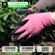 Worschworth gardening gloves are non-slip and wear-resistant for planting, special for home waterproof rose pruning and gardening.