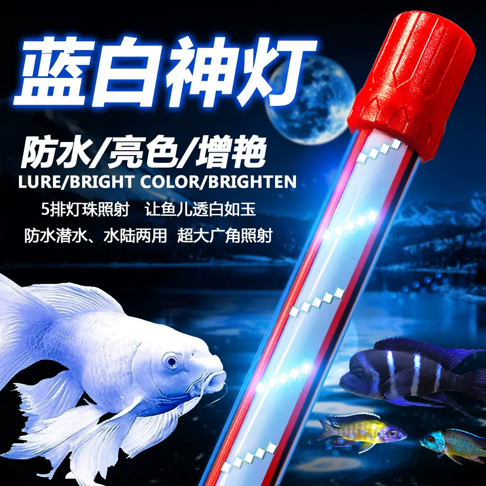 魚缸蝴蝶鯉專用藍白燈led燈全光譜防水潛水燈古典金龍增豔燈包郵 Taobao 魚缸蝴蝶鯉專用藍白燈led燈全光譜防水潛水燈古典金龍增豔燈包郵 Taobao