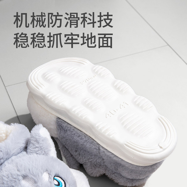 Erha dog cotton slippers for men and women, winter style bag and couple home wear non-slip plush warm and cute cotton shoes