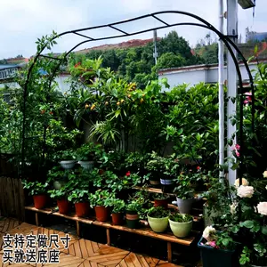 墨绿葡萄架 新人首单立减十元 22年3月 淘宝海外