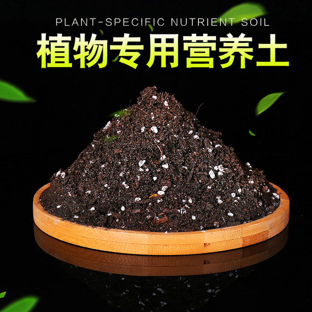 Gardening supplies nutrient soil nutrient solution rose big fertilizer king watering can ceramsite multicolored stone general fertilizer for flowers and plants