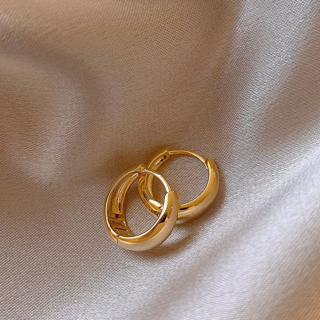 Zhao Lusi's same golden temperament earrings for women 2025 new high-end light luxury earrings autumn and winter earrings earrings