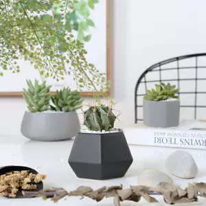 花盆宜家 新人首单立减十元 22年8月 淘宝海外