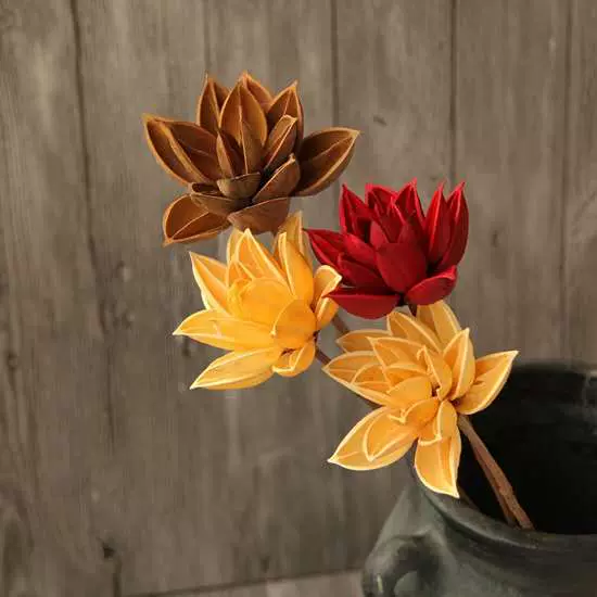 木莲花摆设 新人首单立减十元 21年11月 淘宝海外 木莲花摆设 新人首单立减十元 21年11月 淘宝海外