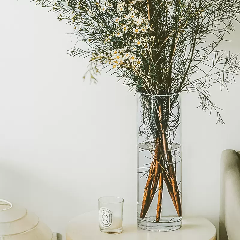 腊梅花瓶玻璃透明梅花插澳洲腊梅高款插花长枝干支插树枝 腊梅花瓶玻璃透明梅花插澳洲腊梅高款插花长枝干支插树枝