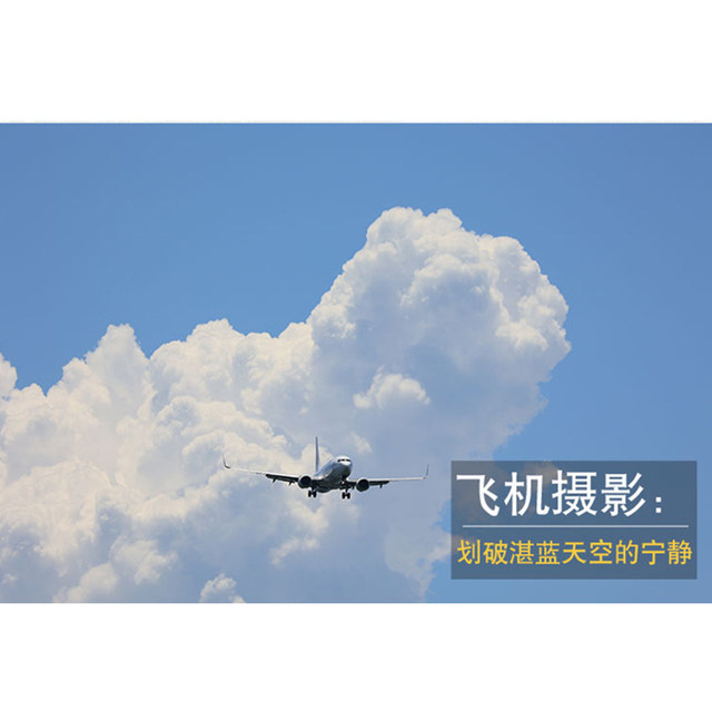 Canon RF 100-400mm F5.6-8 IS USM zoom long-range telephoto lens bird shooting