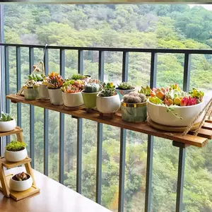 简约养花神器 新人首单立减十元 22年4月 淘宝海外