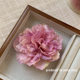 Flower antique peony flower hairpin atmosphere clip retro bangs side accessories hairpin photo headdress hair accessories
