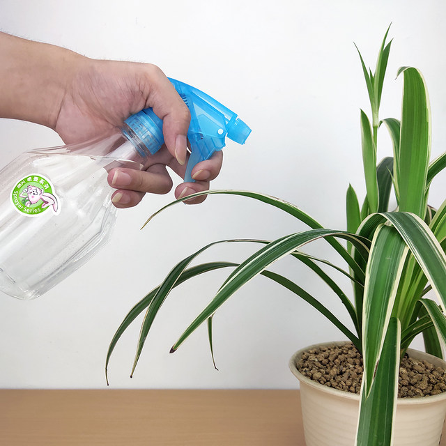 Revitalizing spray bottle alcohol disinfection spray bottle 600ml household gardening watering spray bottle hairdressing spray bottle