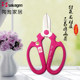 Banyuan Flower Cut Japan imported SAKAGEN gardening scissors and flower shop Flower Artists Save and Save Save Tools Cut