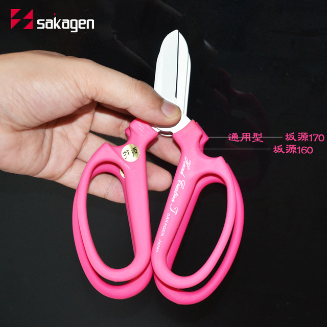 Banyuan Flower Cut Japan imported SAKAGEN gardening scissors and flower shop Flower Artists Save and Save Save Tools Cut